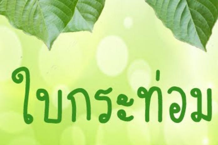 คุยเฟื่อง เรื่องกระท่อม